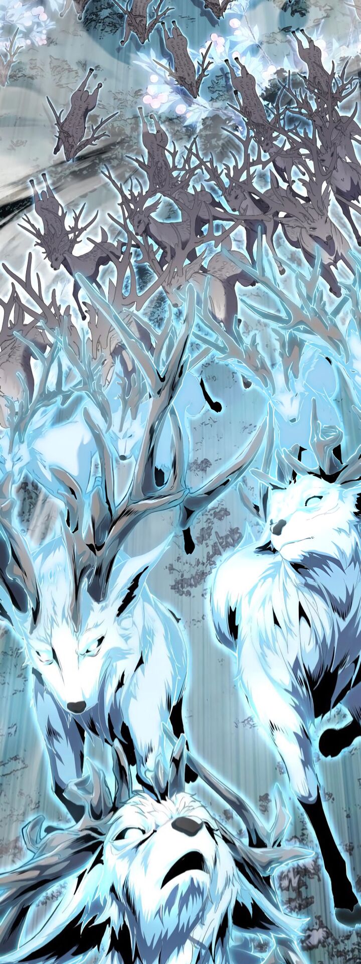 The Boy Of Death 301 2