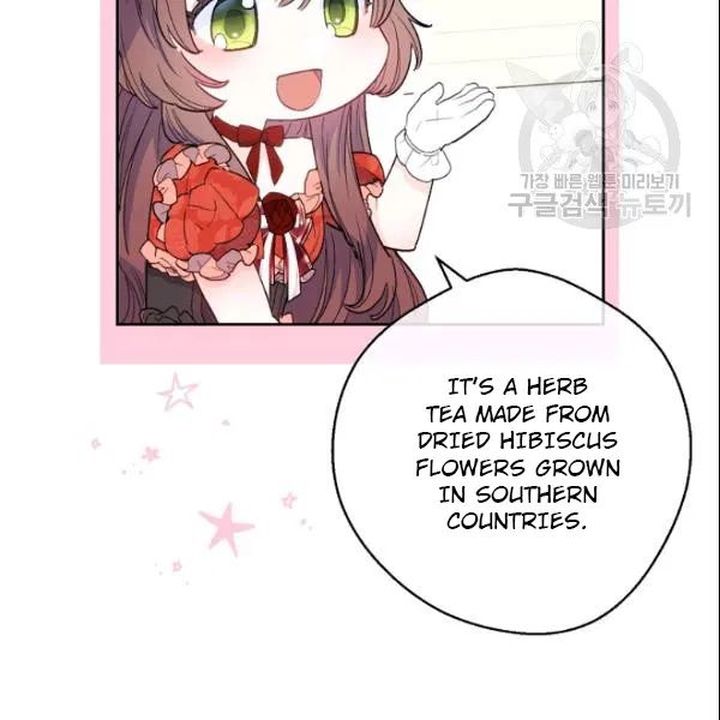 The Duchess 50 Tea Recipes 106 112