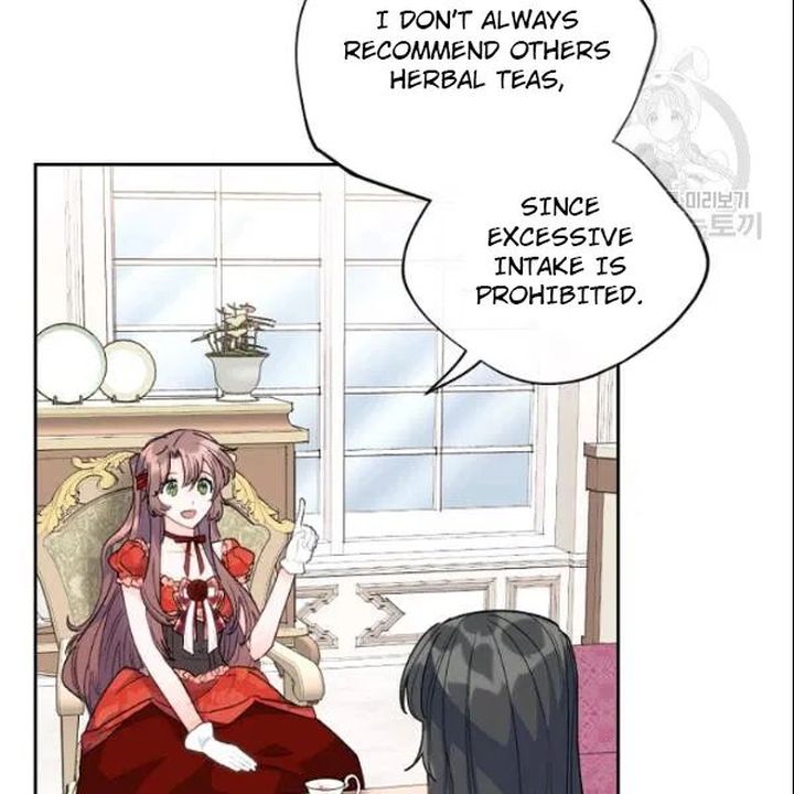 The Duchess 50 Tea Recipes 106 120