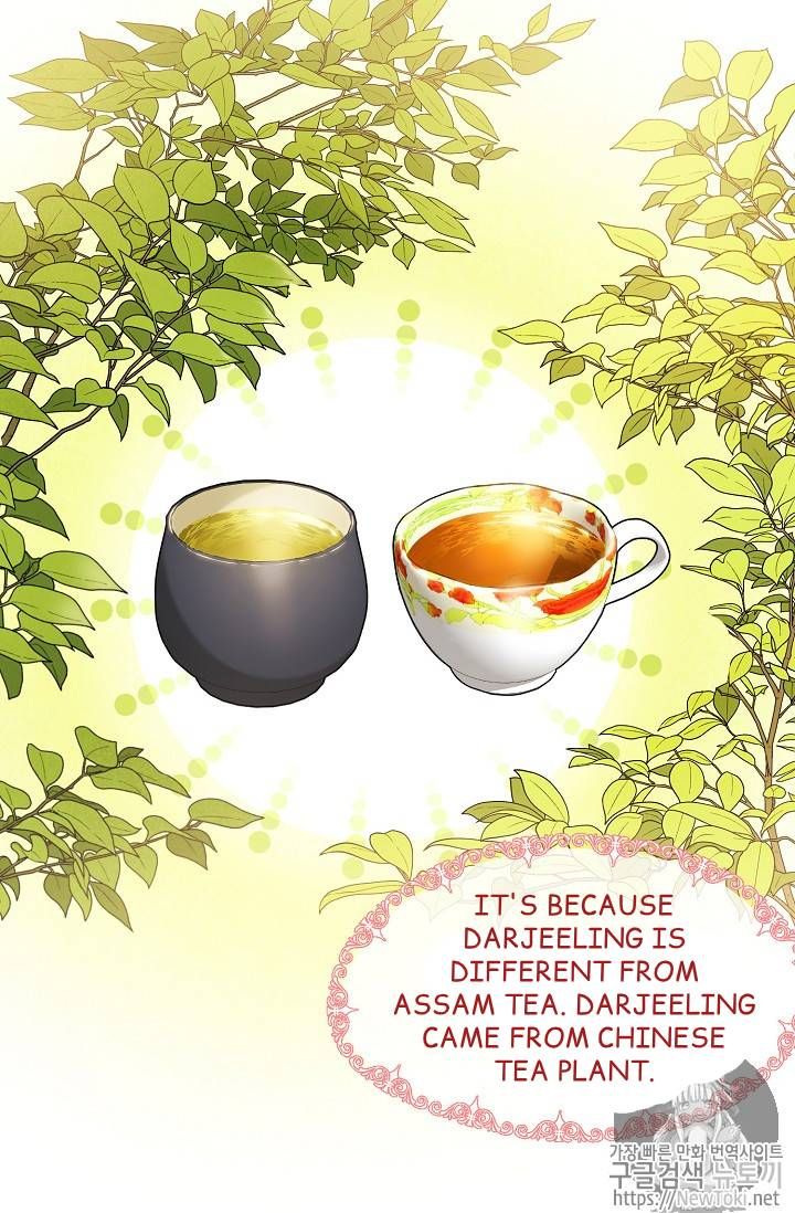 The Duchess 50 Tea Recipes 47 81