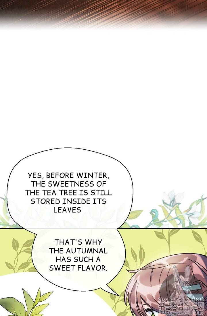 The Duchess 50 Tea Recipes 48 41