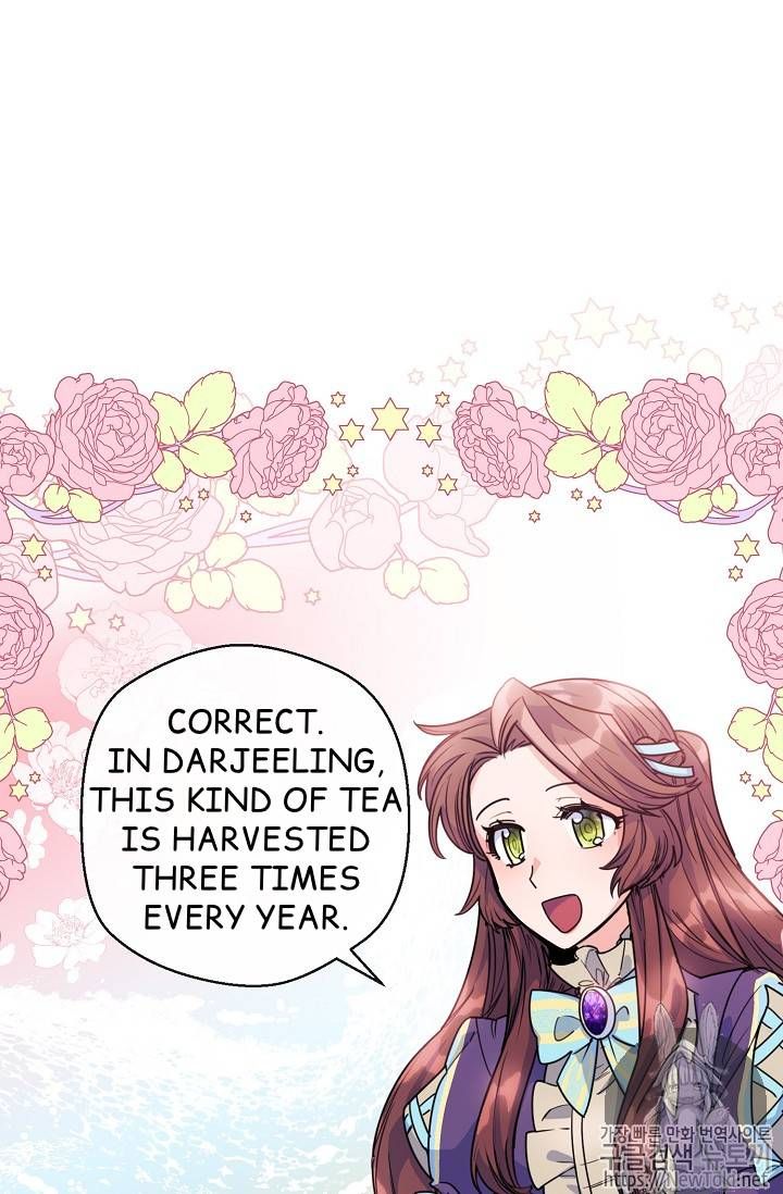 The Duchess 50 Tea Recipes 48 8