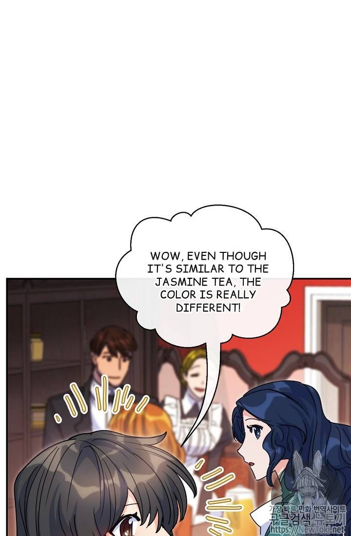 The Duchess 50 Tea Recipes 49 16