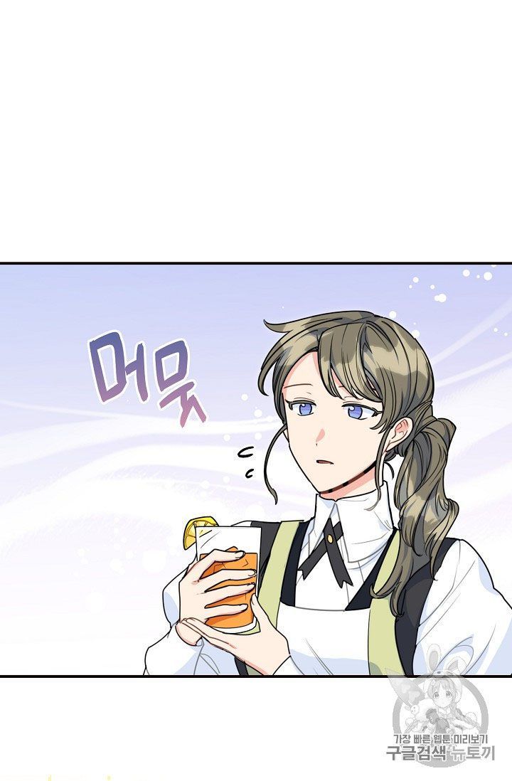 The Duchess 50 Tea Recipes 56 47