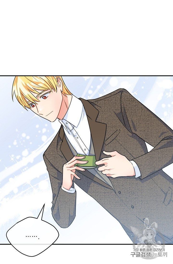 The Duchess 50 Tea Recipes 60 63