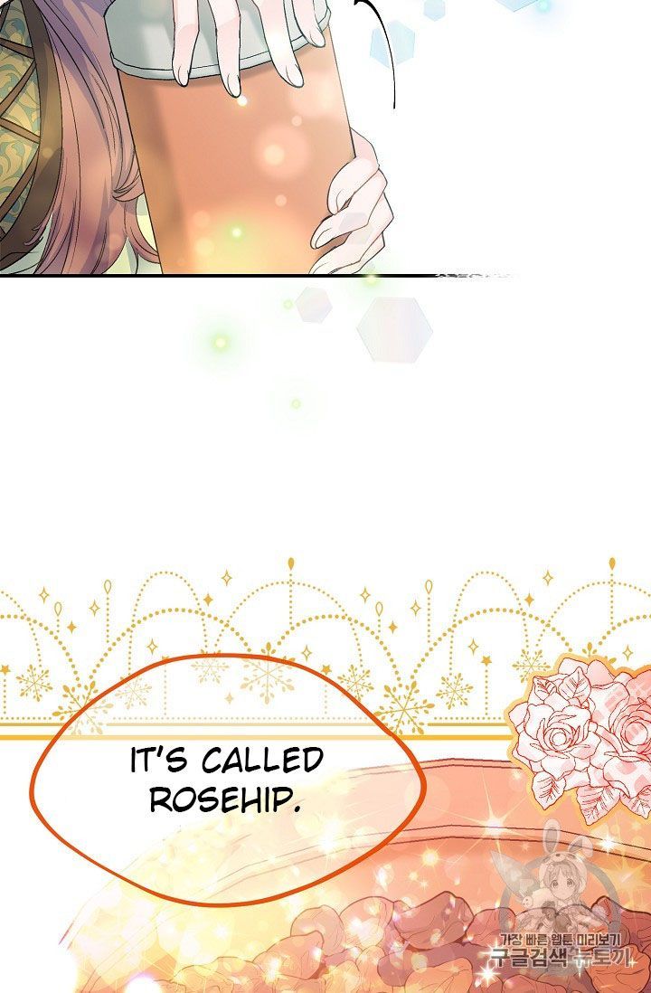 The Duchess 50 Tea Recipes 62 3