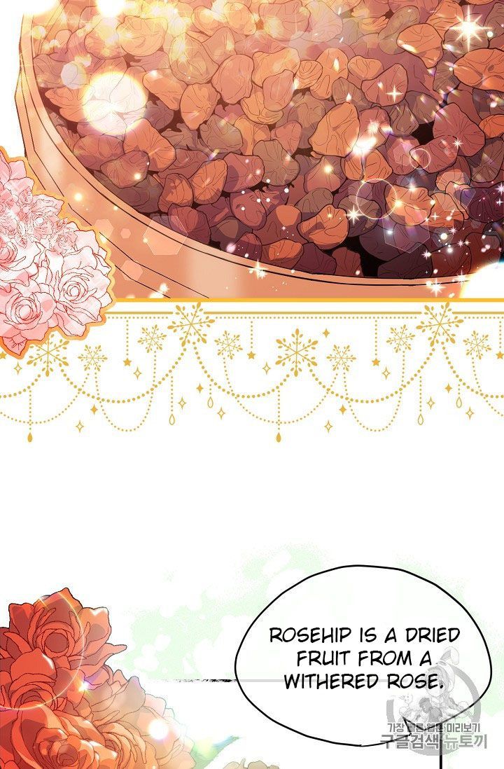 The Duchess 50 Tea Recipes 62 4