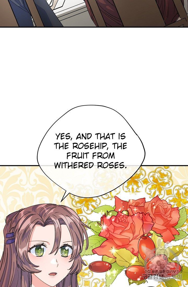 The Duchess 50 Tea Recipes 62 58