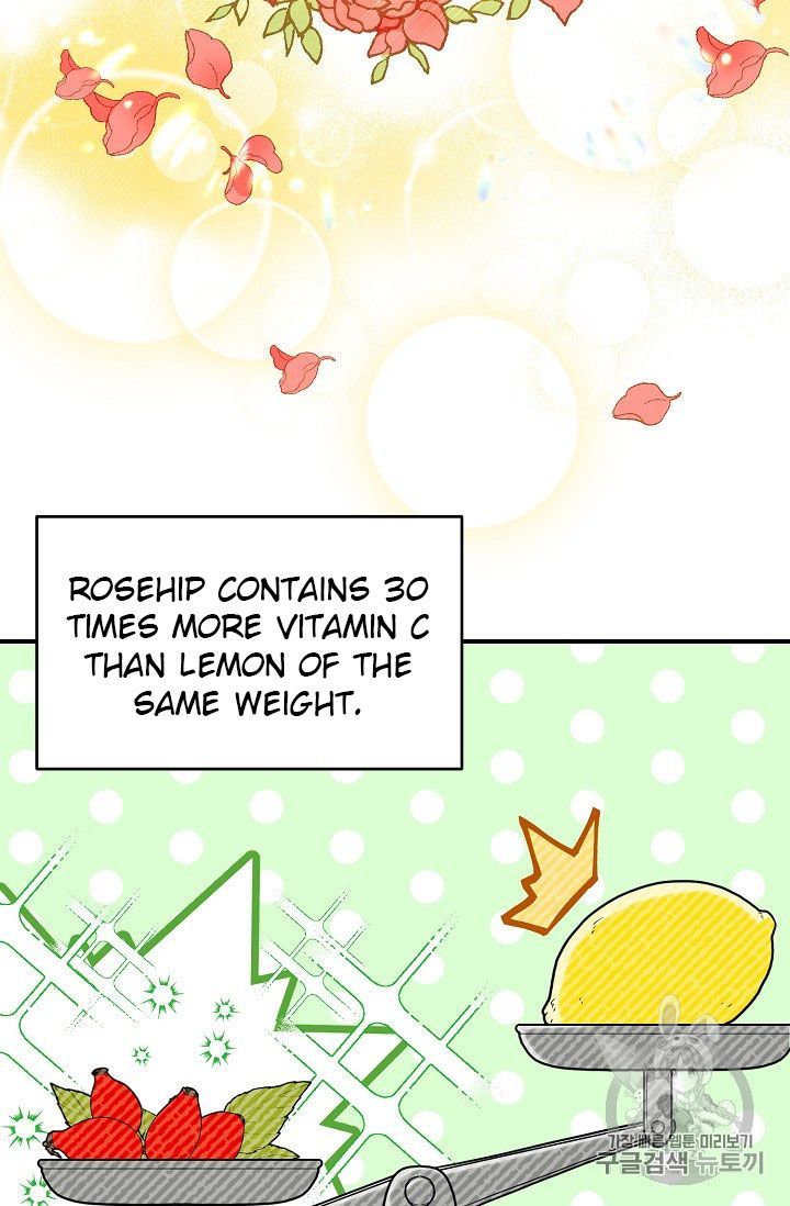 The Duchess 50 Tea Recipes 62 8