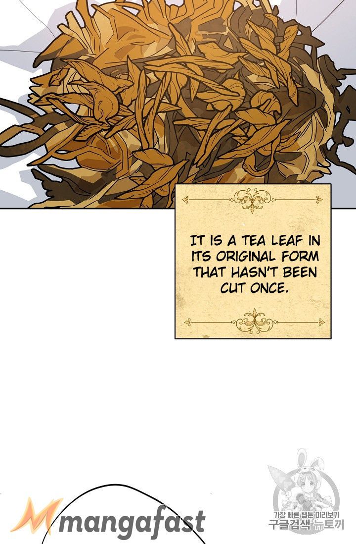 The Duchess 50 Tea Recipes 74 78