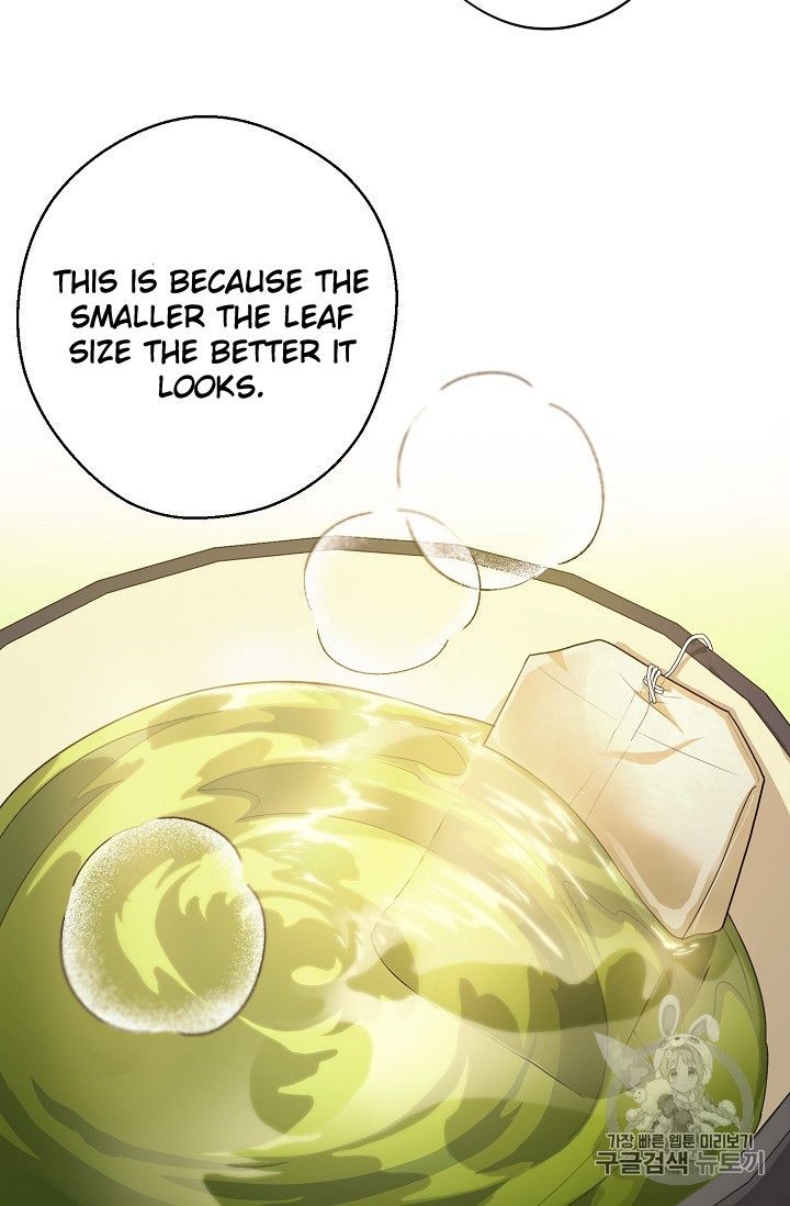 The Duchess 50 Tea Recipes 74 80