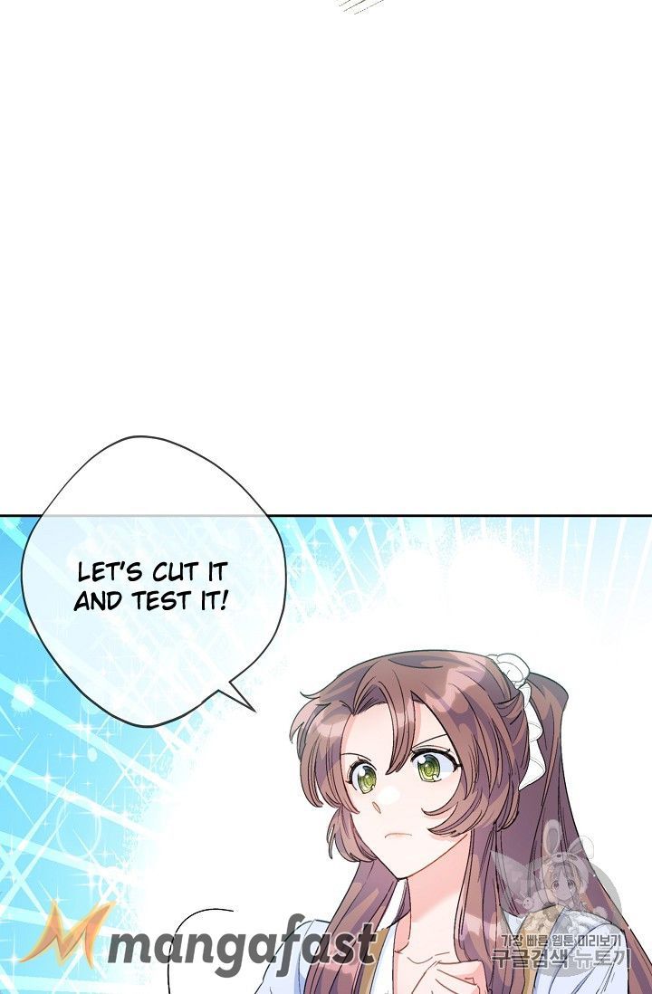 The Duchess 50 Tea Recipes 74 82