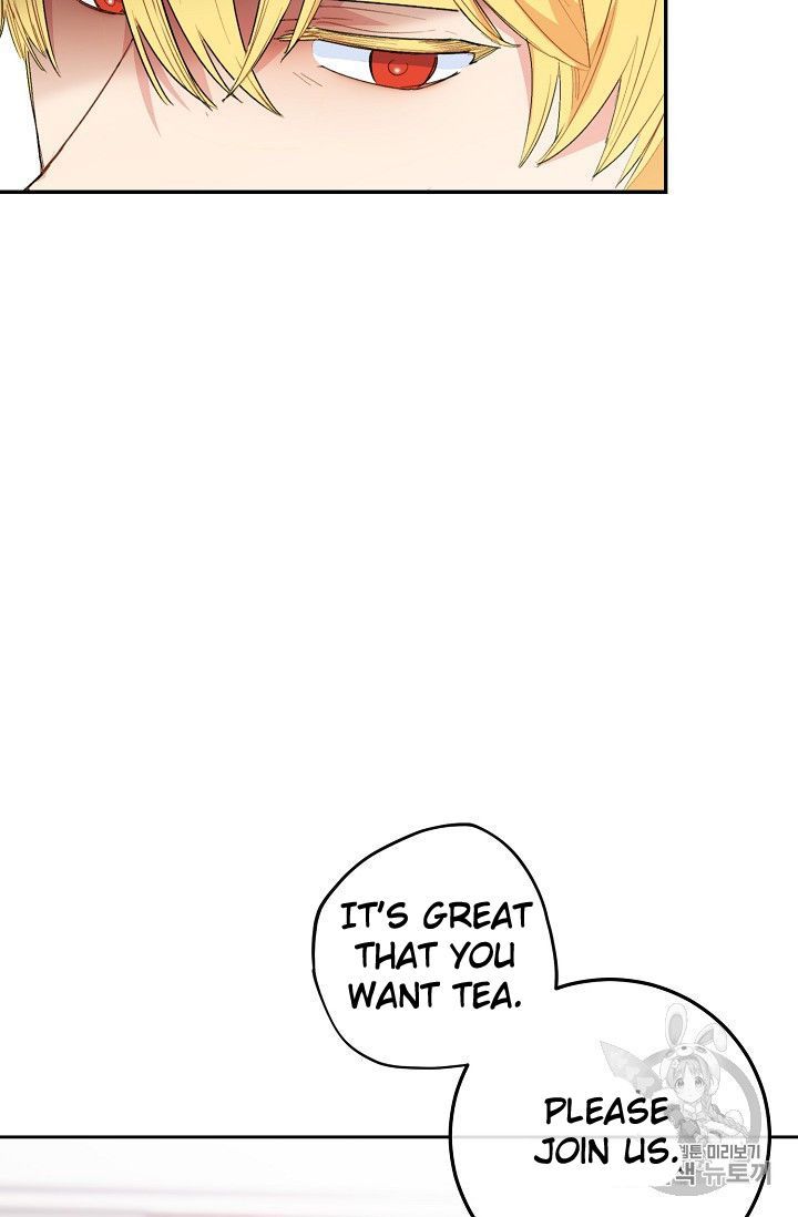 The Duchess 50 Tea Recipes 76 62