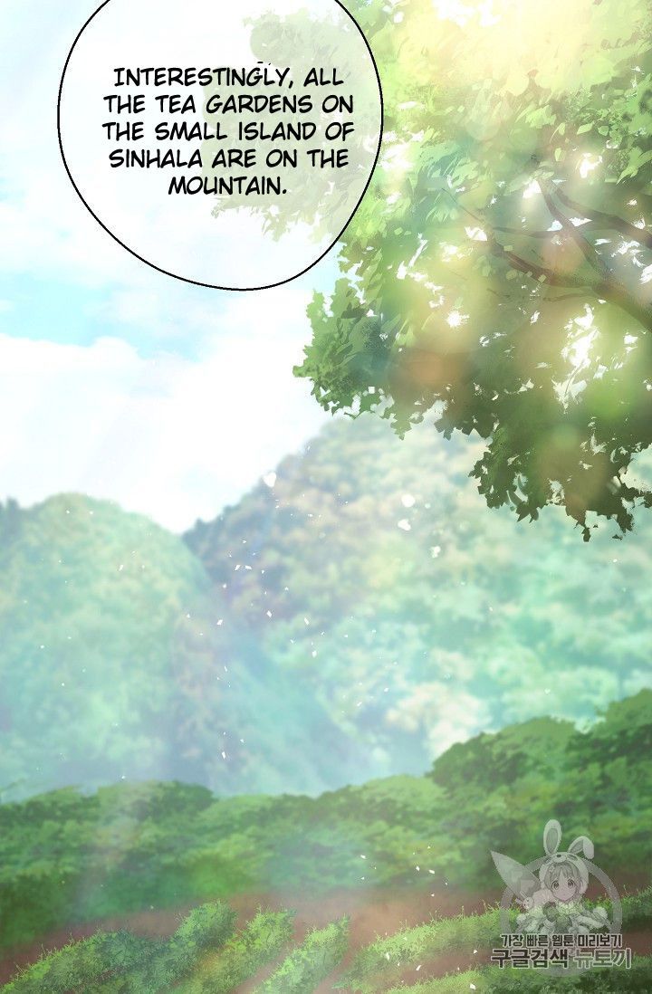 The Duchess 50 Tea Recipes 77 18