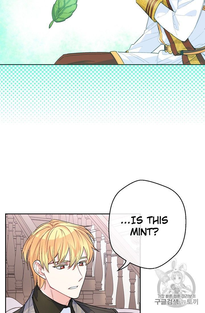 The Duchess 50 Tea Recipes 77 38