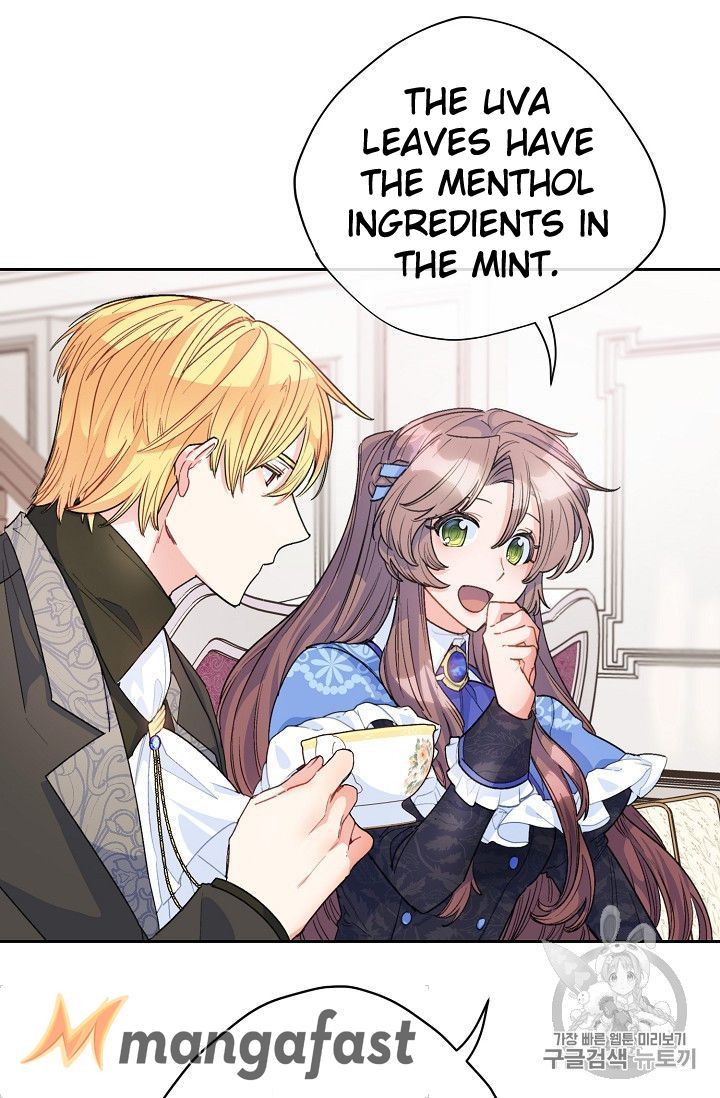 The Duchess 50 Tea Recipes 77 40