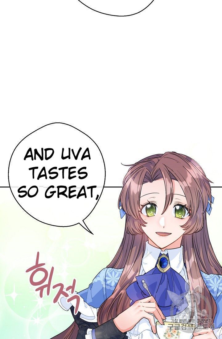 The Duchess 50 Tea Recipes 77 48