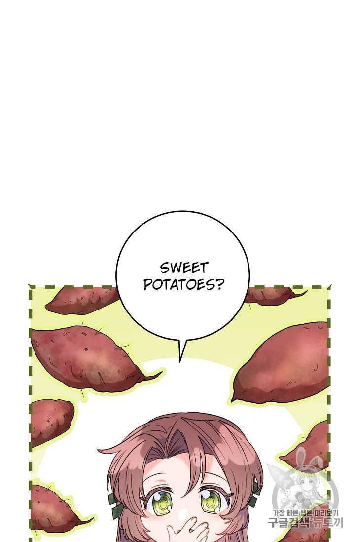 The Duchess 50 Tea Recipes 78 48