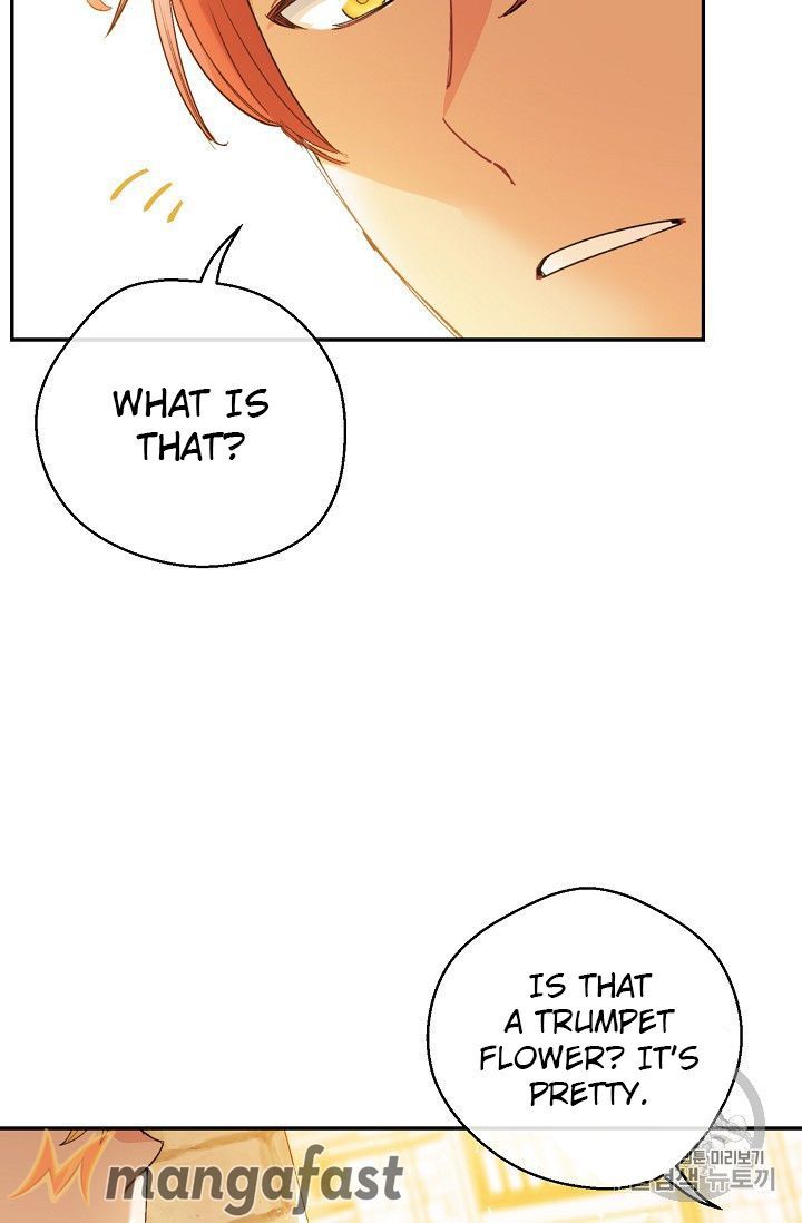 The Duchess 50 Tea Recipes 79 20