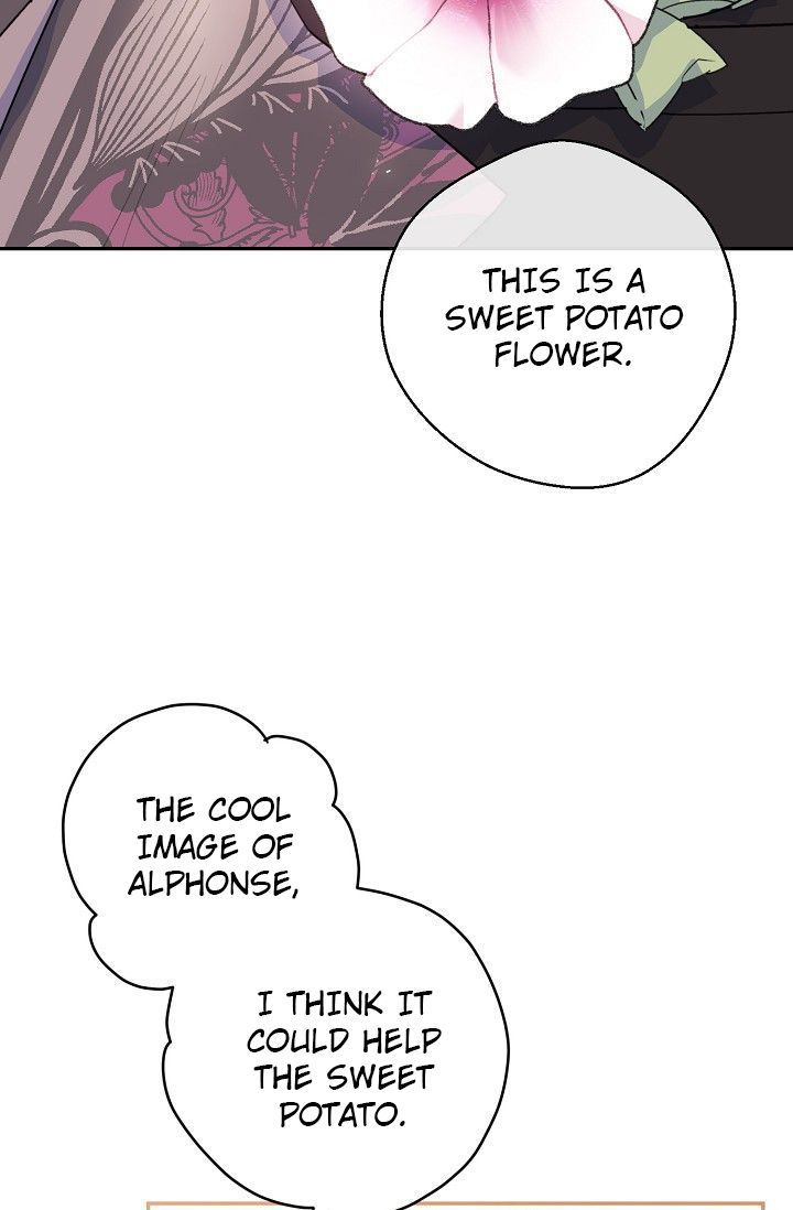 The Duchess 50 Tea Recipes 79 5