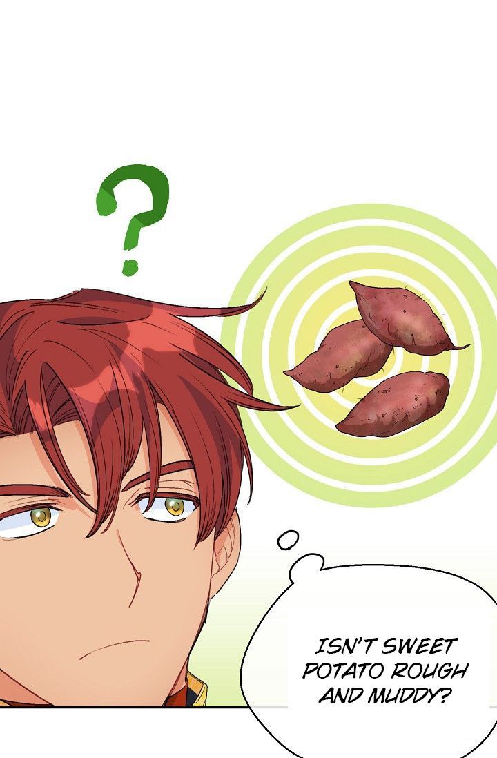 The Duchess 50 Tea Recipes 79 65