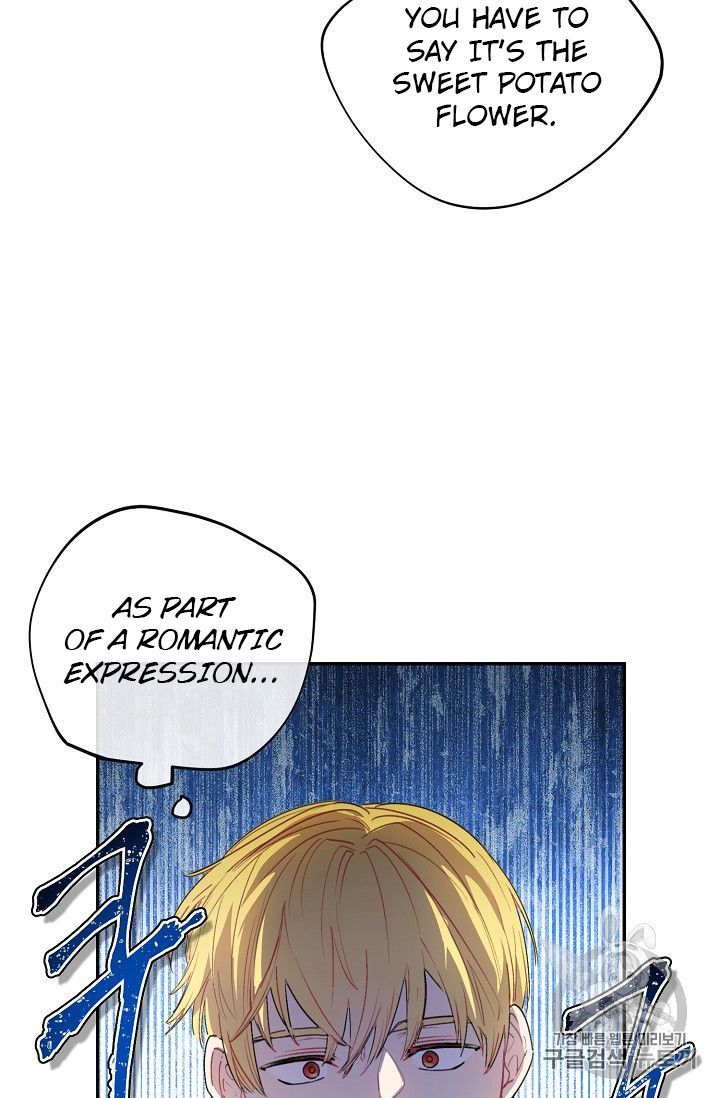 The Duchess 50 Tea Recipes 79 8