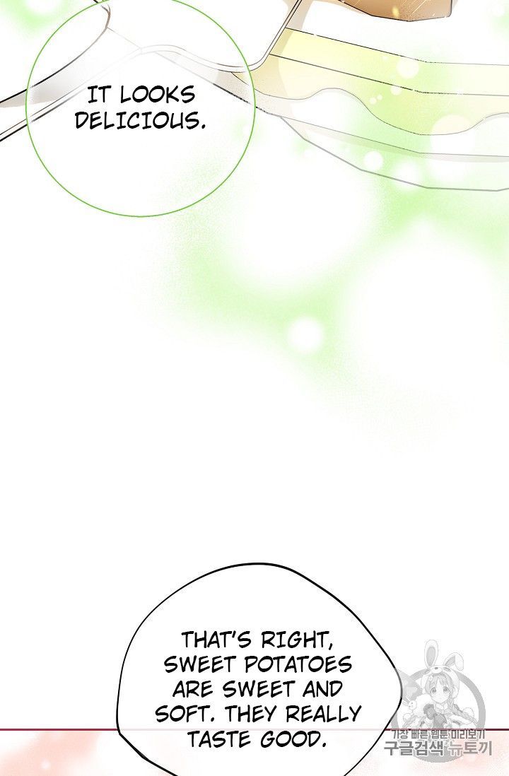 The Duchess 50 Tea Recipes 80 41