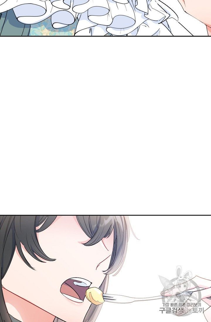 The Duchess 50 Tea Recipes 80 60