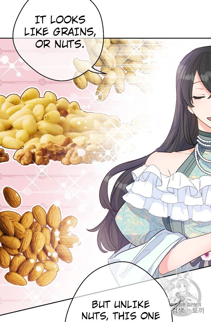 The Duchess 50 Tea Recipes 80 67