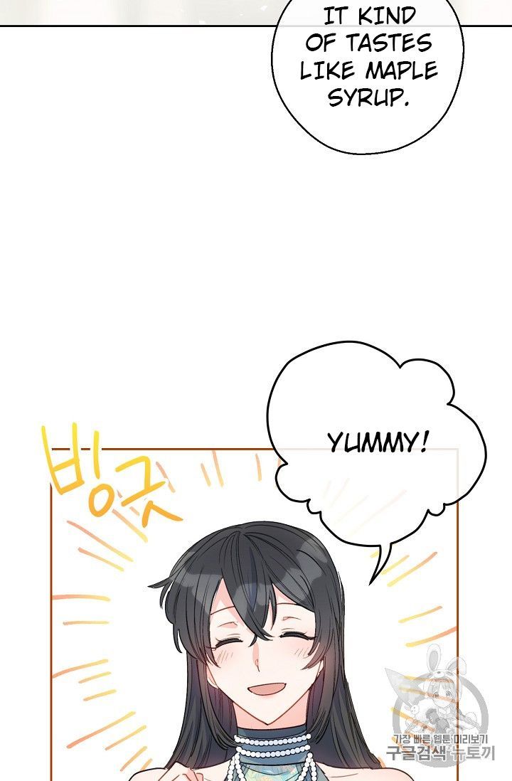 The Duchess 50 Tea Recipes 80 69