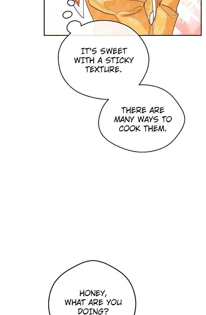 The Duchess 50 Tea Recipes 81 67