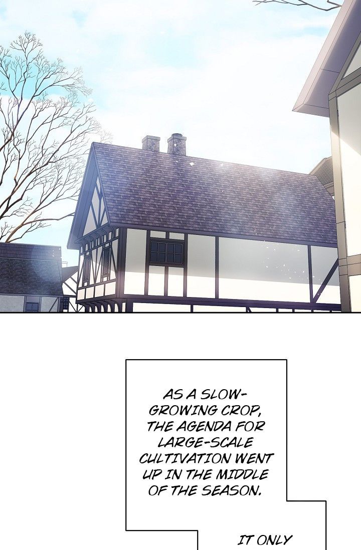 The Duchess 50 Tea Recipes 81 86