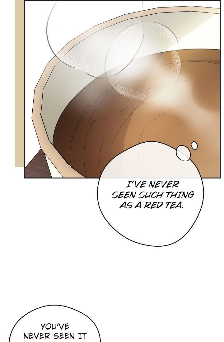 The Duchess 50 Tea Recipes 83 37