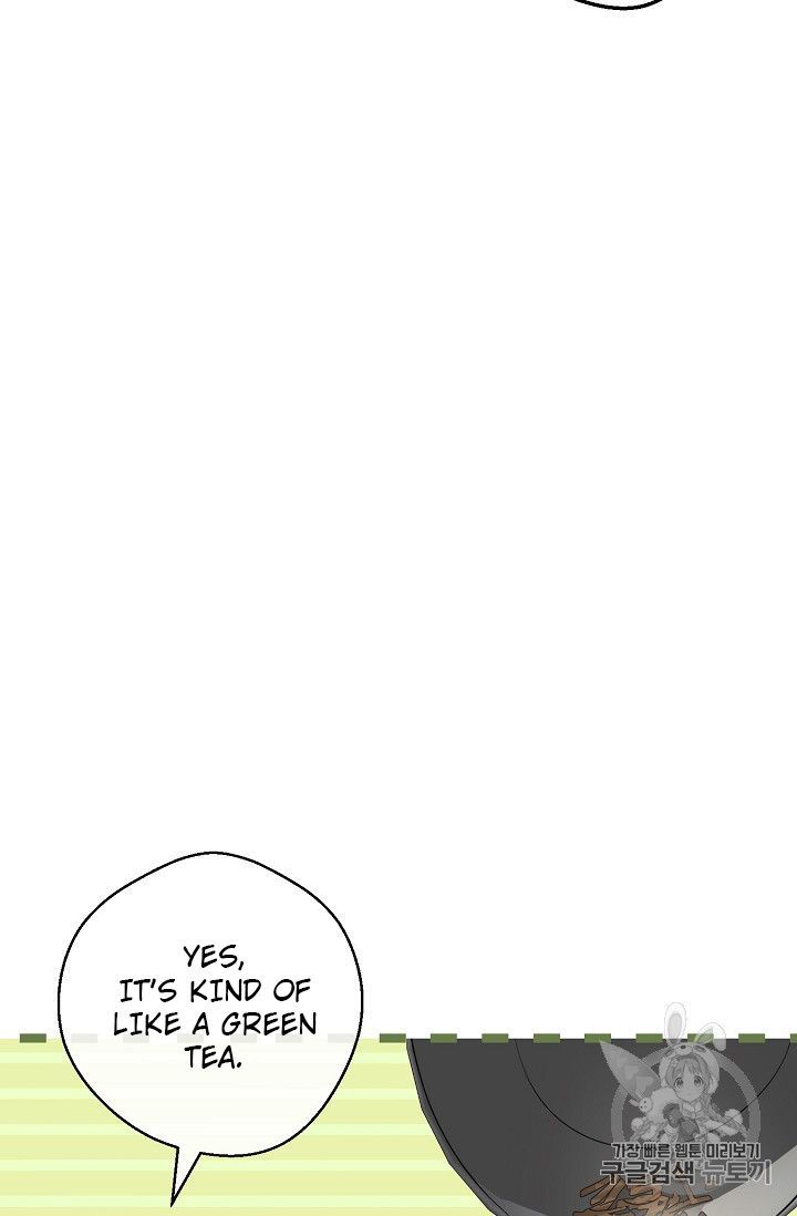 The Duchess 50 Tea Recipes 83 39