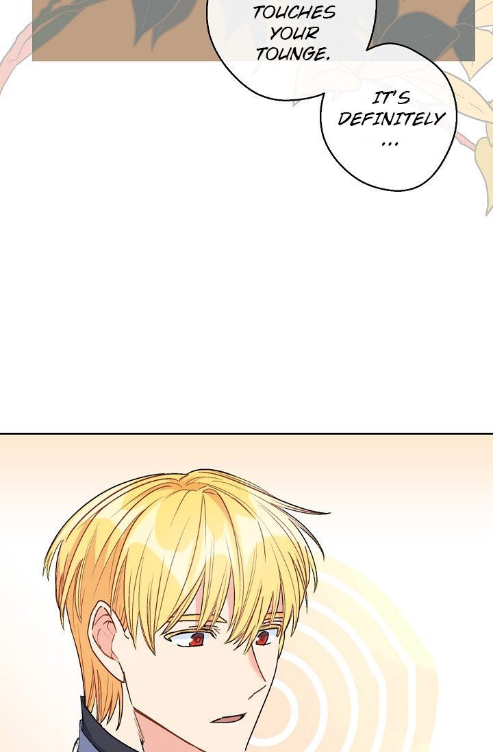 The Duchess 50 Tea Recipes 83 63