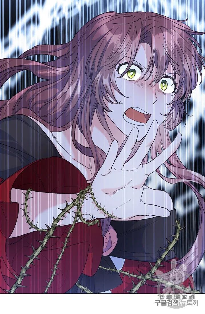 The Duchess 50 Tea Recipes 88 77