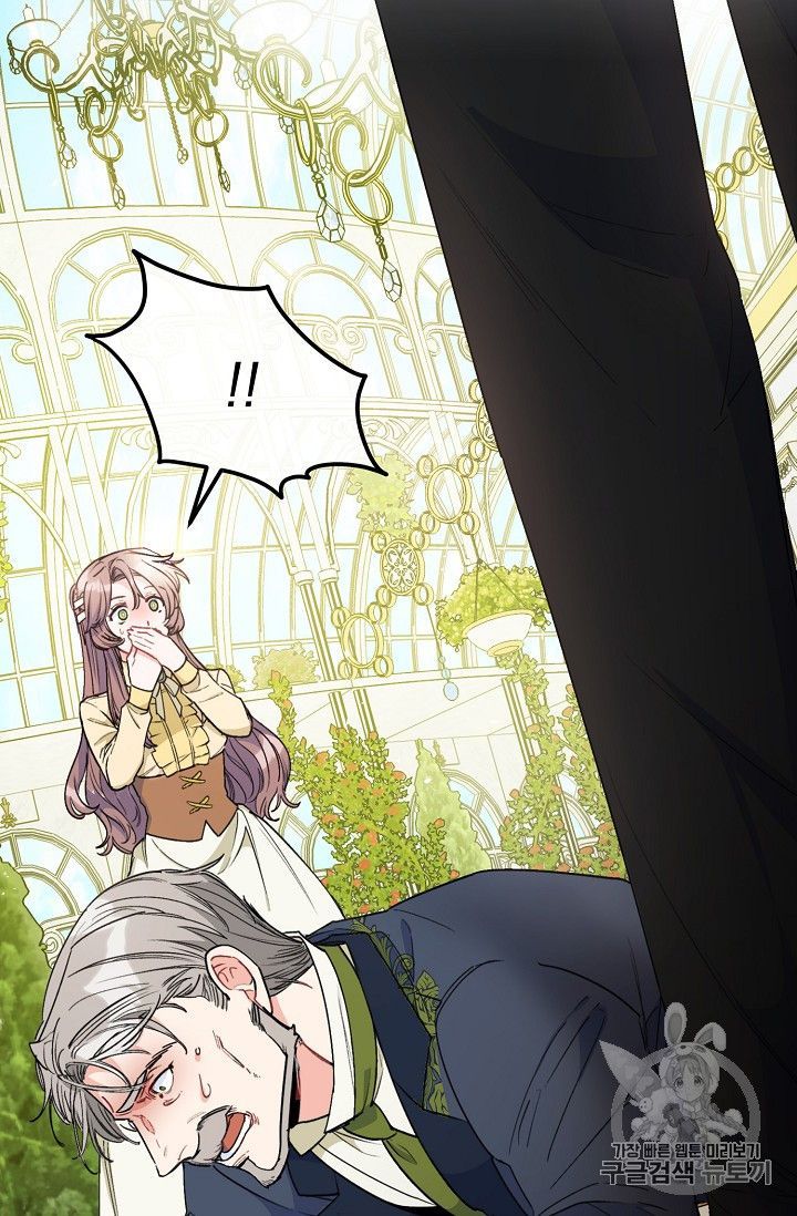 The Duchess 50 Tea Recipes 90 5