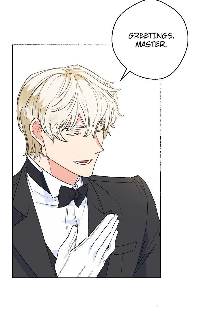 The Duchess 50 Tea Recipes 90 65