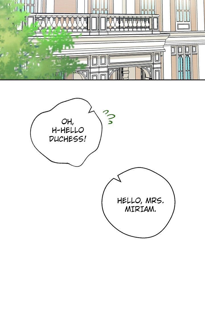 The Duchess 50 Tea Recipes 94 72