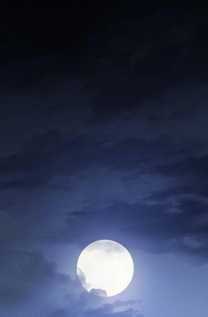 The Duchess 50 Tea Recipes 95 1