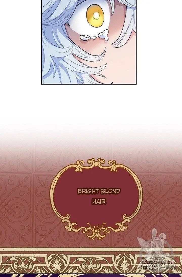 The Duchess 50 Tea Recipes 96 29