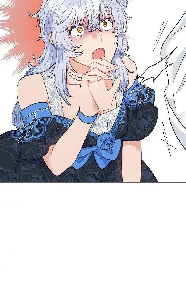 The Duchess 50 Tea Recipes 96 35