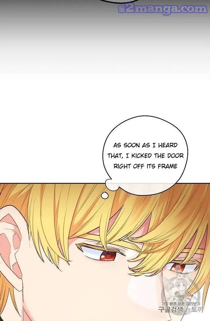 The Duchess 50 Tea Recipes 96 50