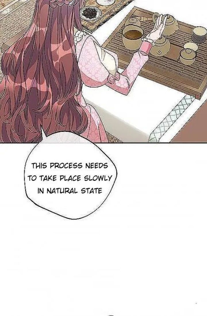 The Duchess 50 Tea Recipes 97 39