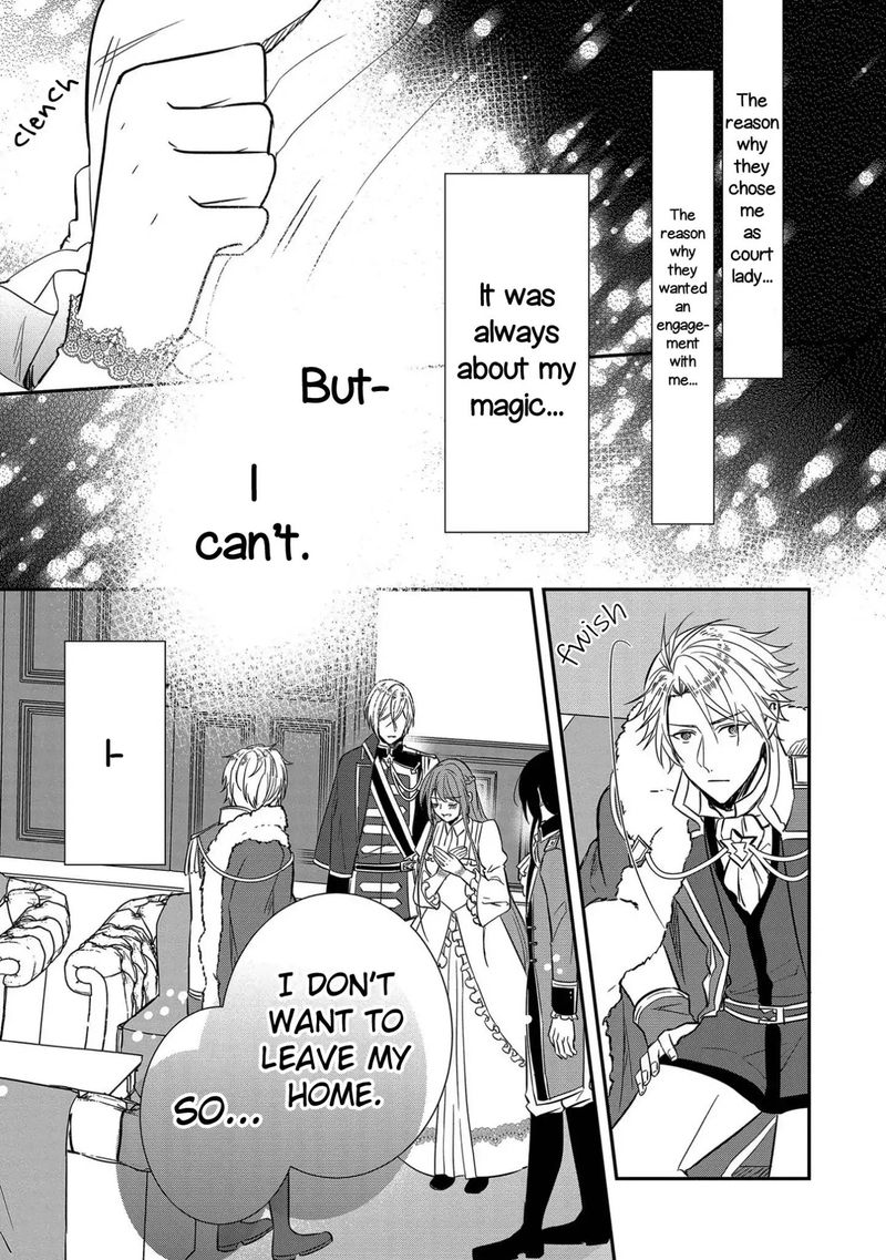 The Emperor Hopes For The Court Lady As His Bride 2 27