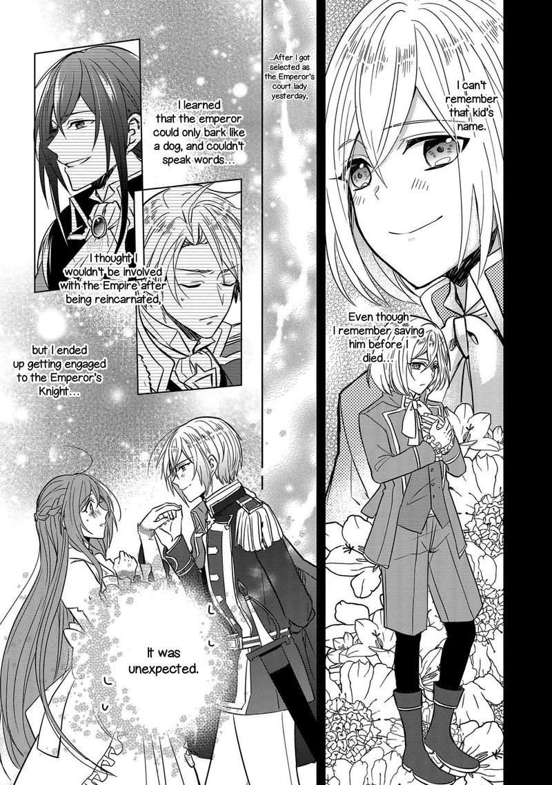 The Emperor Hopes For The Court Lady As His Bride 3 7