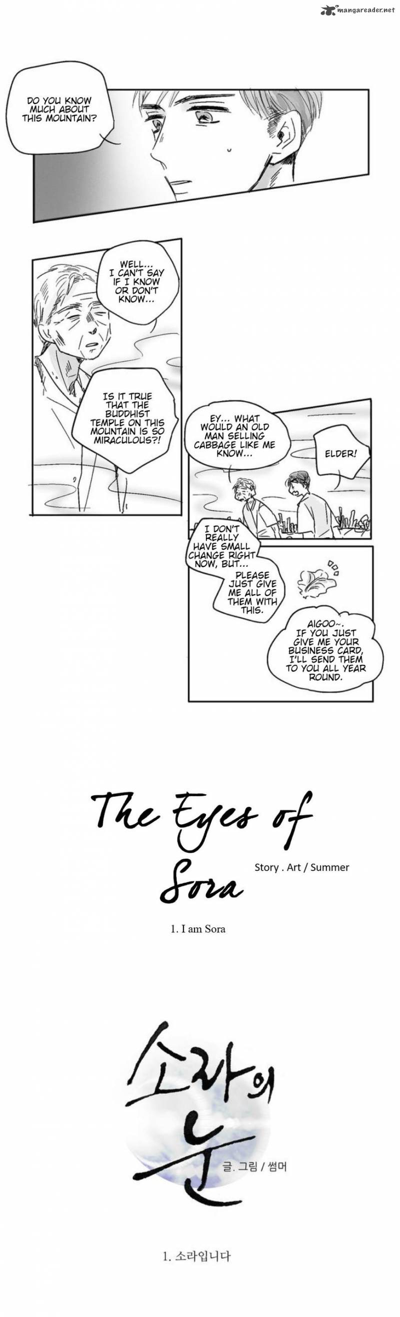 The Eyes Of Sora 1 2