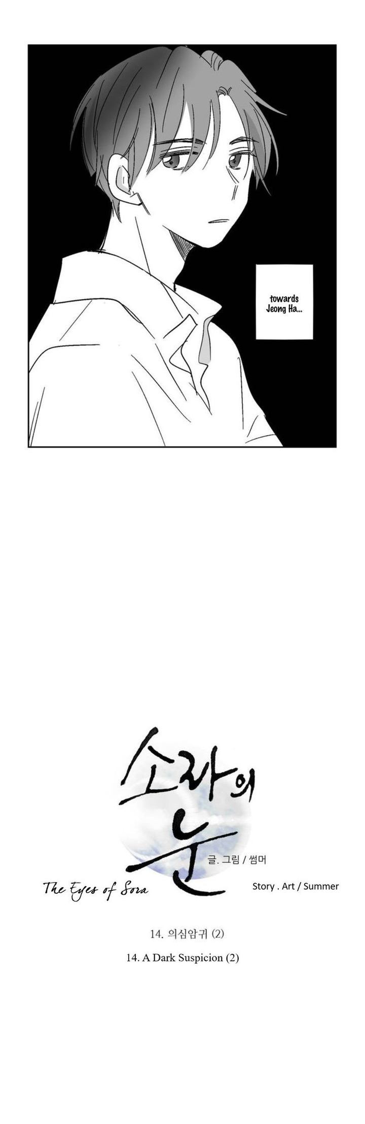 The Eyes Of Sora 14 2
