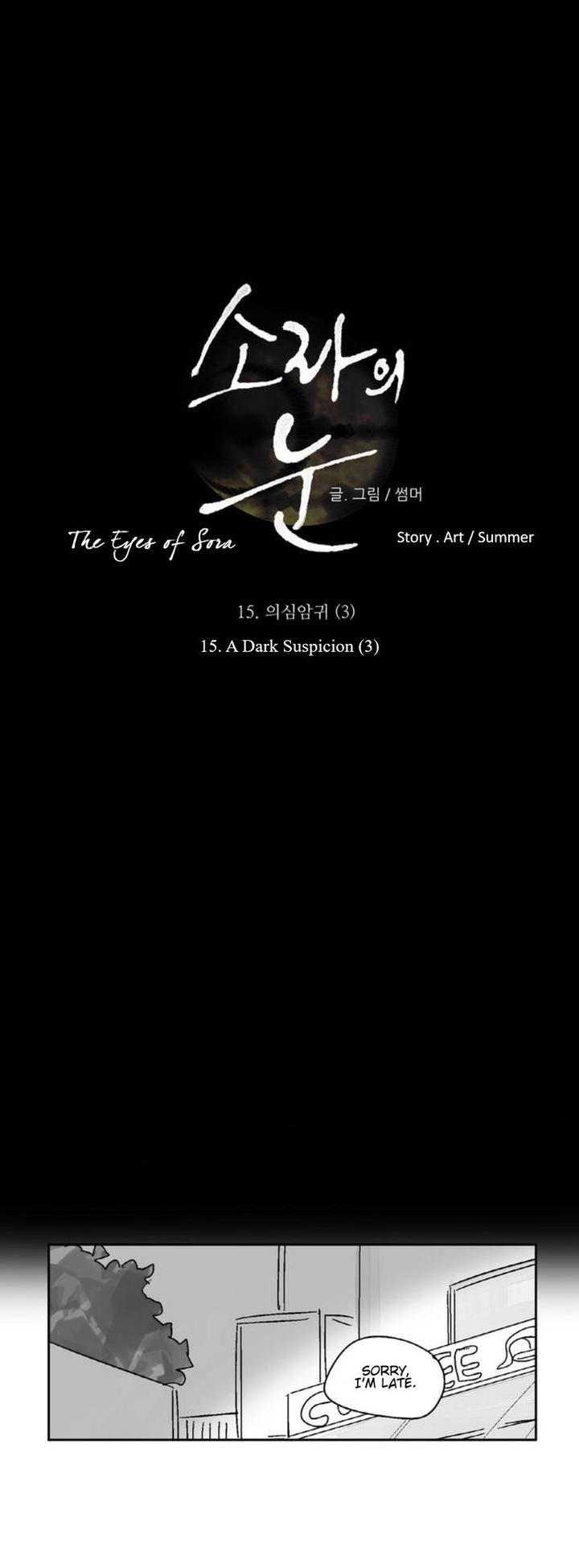 The Eyes Of Sora 15 13