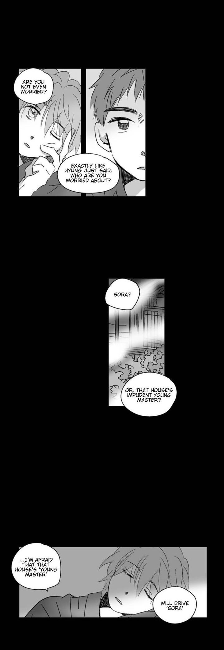The Eyes Of Sora 16 5